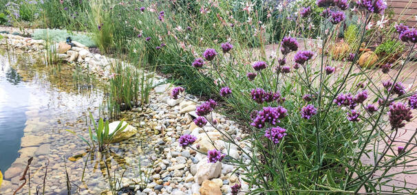 Mit Leidenschaft und Erfahrung