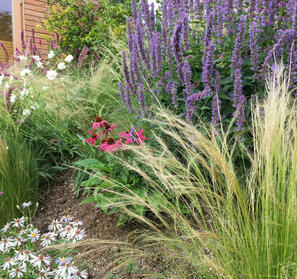 Mit Leidenschaft und Erfahrung